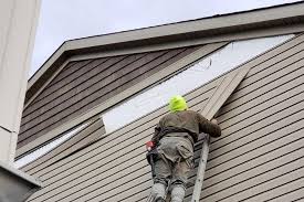 Best Stone Veneer Siding  in Cape May Court House, NJ